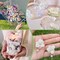 1250+ Real Dried Ivory White Hydrangea Petals – 0.88 oz Preserved Natural Flower Petals for Weddings, Party Confetti, Table Centerpieces, and Crafts